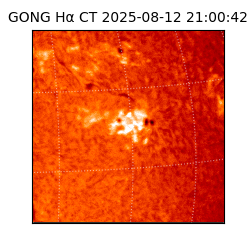 gong - 2025-08-12T21:00:42