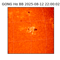 gong - 2025-08-12T22:00:02