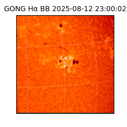 gong - 2025-08-12T23:00:02