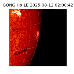 gong - 2025-08-12T02:00:42