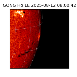 gong - 2025-08-12T08:00:42