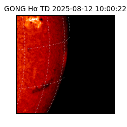 gong - 2025-08-12T10:00:22