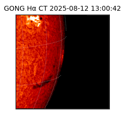 gong - 2025-08-12T13:00:42