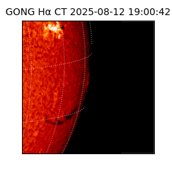 gong - 2025-08-12T19:00:42