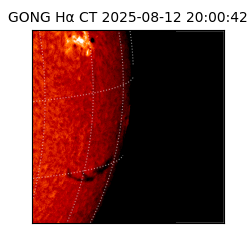 gong - 2025-08-12T20:00:42