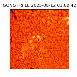 gong - 2025-08-12T01:00:42