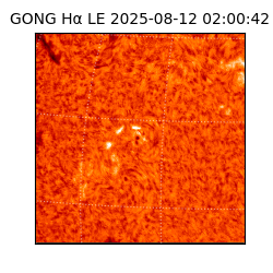 gong - 2025-08-12T02:00:42