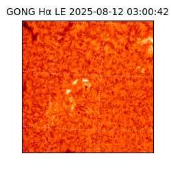 gong - 2025-08-12T03:00:42