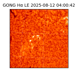 gong - 2025-08-12T04:00:42