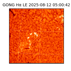 gong - 2025-08-12T05:00:42