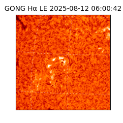 gong - 2025-08-12T06:00:42