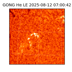 gong - 2025-08-12T07:00:42