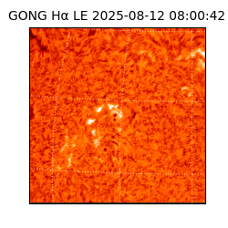 gong - 2025-08-12T08:00:42