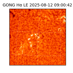 gong - 2025-08-12T09:00:42