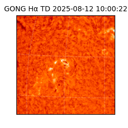 gong - 2025-08-12T10:00:22