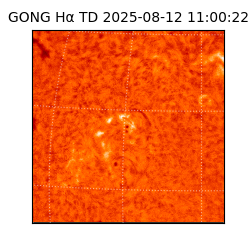 gong - 2025-08-12T11:00:22