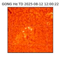 gong - 2025-08-12T12:00:22