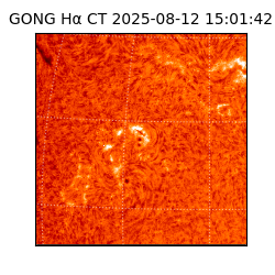 gong - 2025-08-12T15:01:42