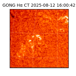 gong - 2025-08-12T16:00:42