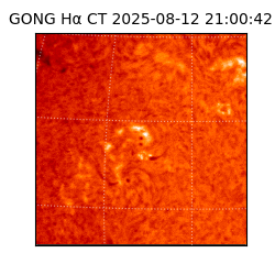 gong - 2025-08-12T21:00:42