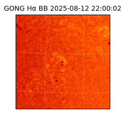 gong - 2025-08-12T22:00:02