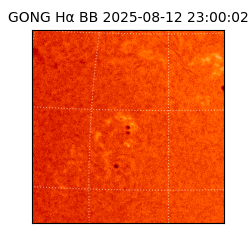 gong - 2025-08-12T23:00:02