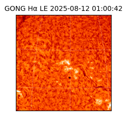 gong - 2025-08-12T01:00:42