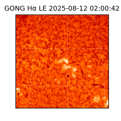 gong - 2025-08-12T02:00:42