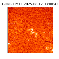 gong - 2025-08-12T03:00:42