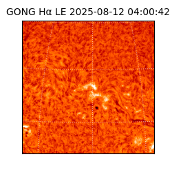 gong - 2025-08-12T04:00:42