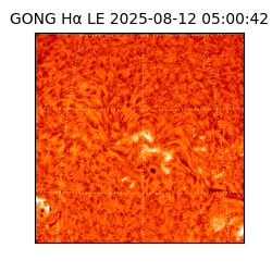 gong - 2025-08-12T05:00:42