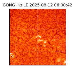 gong - 2025-08-12T06:00:42