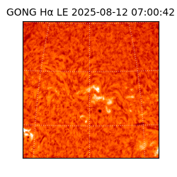 gong - 2025-08-12T07:00:42