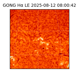 gong - 2025-08-12T08:00:42