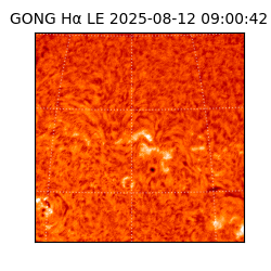 gong - 2025-08-12T09:00:42