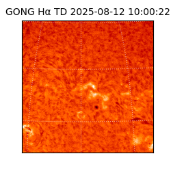 gong - 2025-08-12T10:00:22