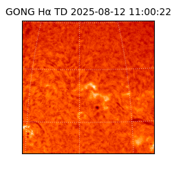 gong - 2025-08-12T11:00:22