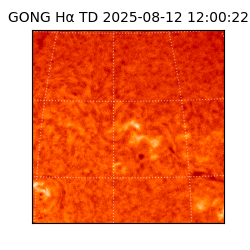 gong - 2025-08-12T12:00:22