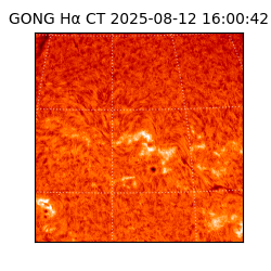 gong - 2025-08-12T16:00:42