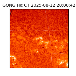 gong - 2025-08-12T20:00:42