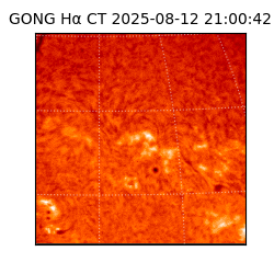 gong - 2025-08-12T21:00:42