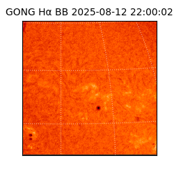 gong - 2025-08-12T22:00:02