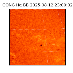 gong - 2025-08-12T23:00:02