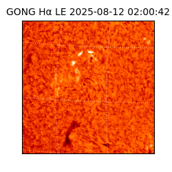 gong - 2025-08-12T02:00:42