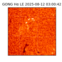 gong - 2025-08-12T03:00:42