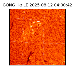 gong - 2025-08-12T04:00:42