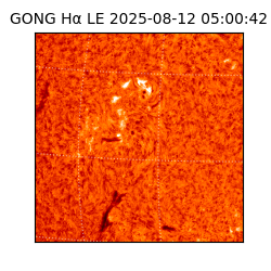 gong - 2025-08-12T05:00:42