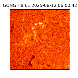 gong - 2025-08-12T06:00:42