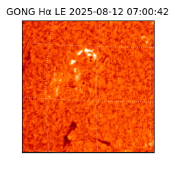 gong - 2025-08-12T07:00:42