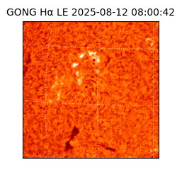 gong - 2025-08-12T08:00:42